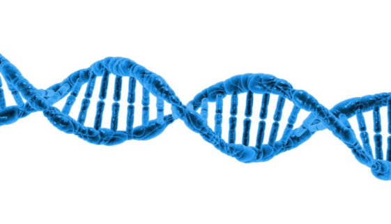 dna-g66f67e050_1280
