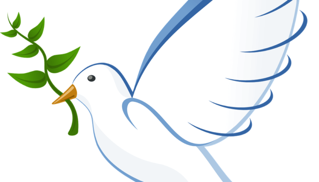 dove-41260_1280